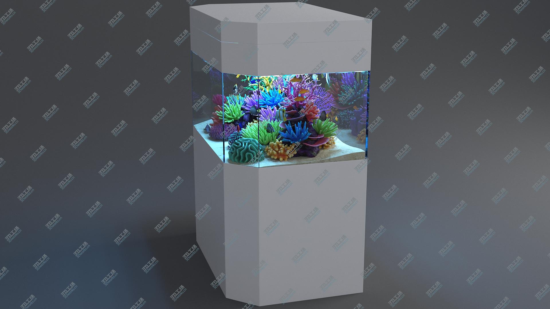 images/goods_img/202104093/3D Aquarium 04 model/5.jpg